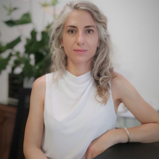 53ce1fe2-ded8-4b2f-9c32-c21aced4c797